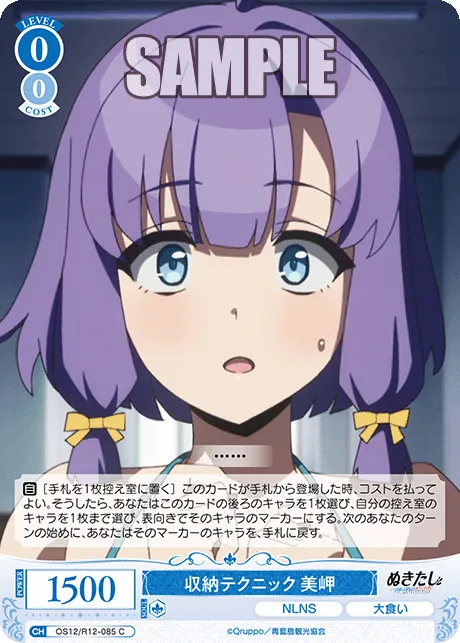 収納テクニック 美岬