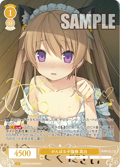 がんばる子猫様 真白
