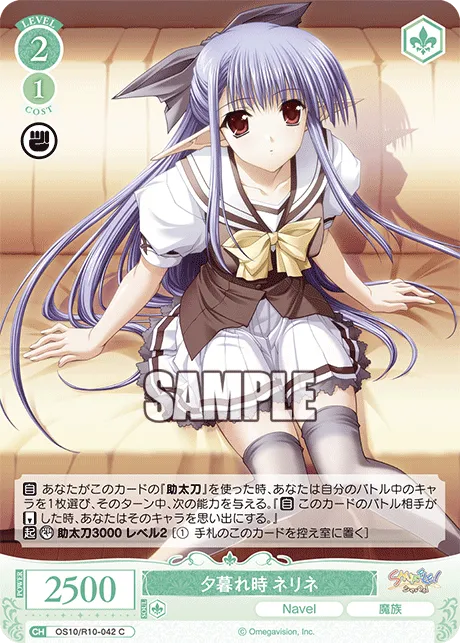 夕暮れ時 ネリネ