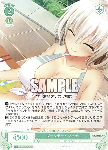 プールデート シャチ