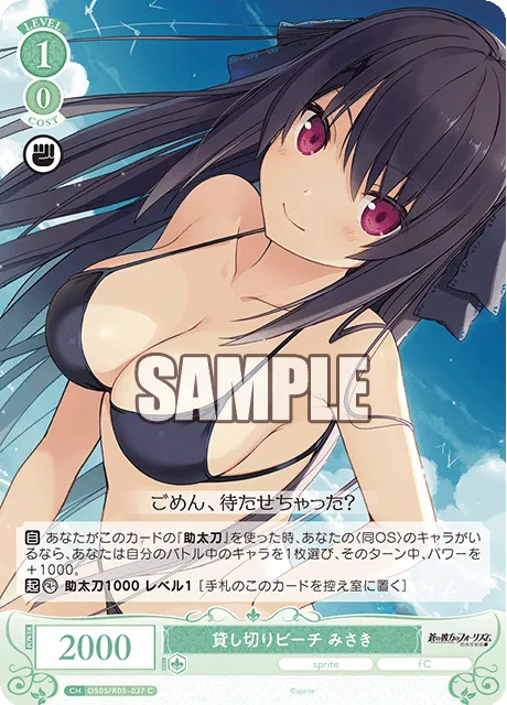 貸し切りビーチ みさき
