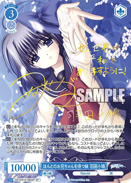 ほんとのお兄ちゃんを待つ妹 羽田小鳩