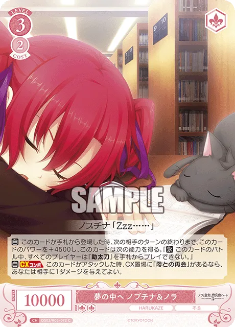 夢の中へ ノブチナ＆ノラ