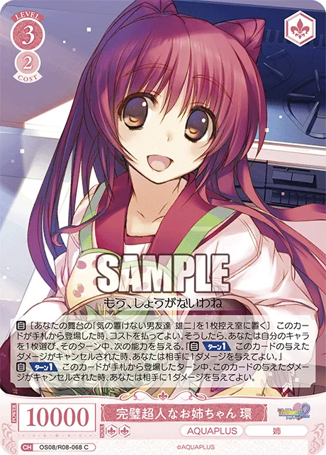 完璧超人なお姉ちゃん 環