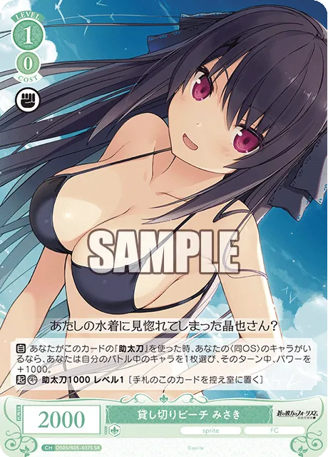 貸し切りビーチ みさき