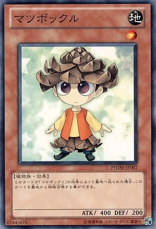 マツボックル