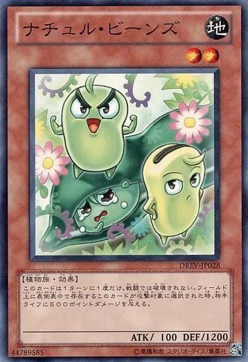 ナチュル・ビーンズ