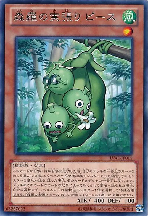 森羅の実張り ピース
