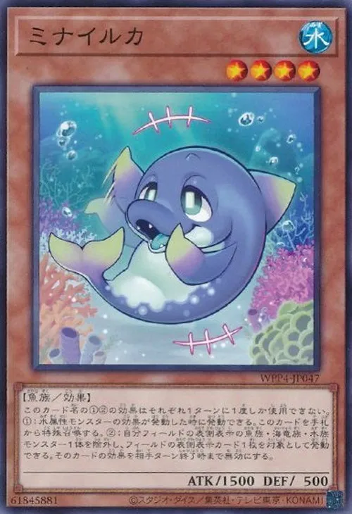 ミナイルカ