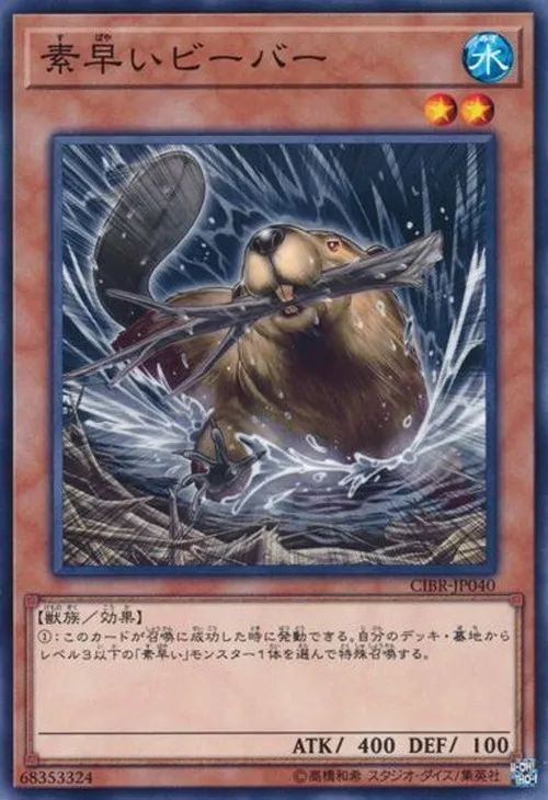 素早いビーバー