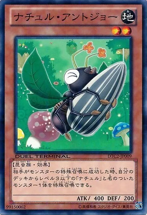 ナチュル・アントジョー
