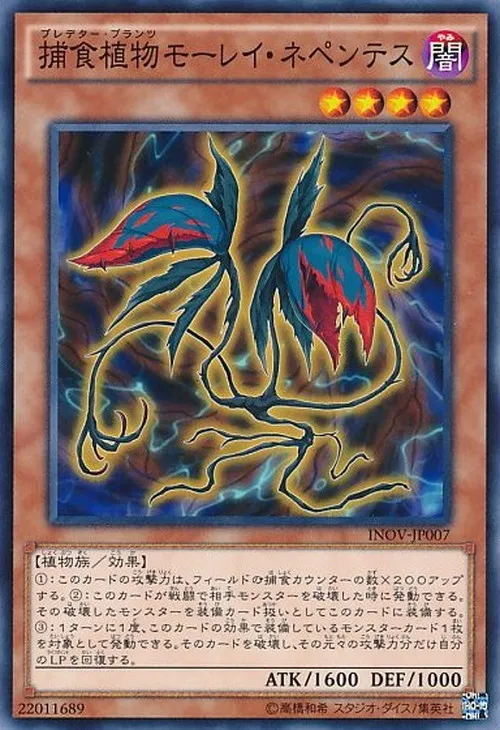 捕食植物モーレイ・ネペンテス