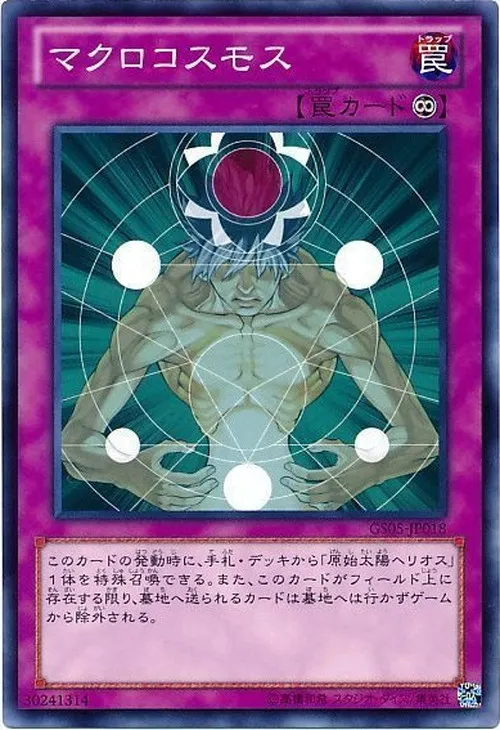 マクロコスモス