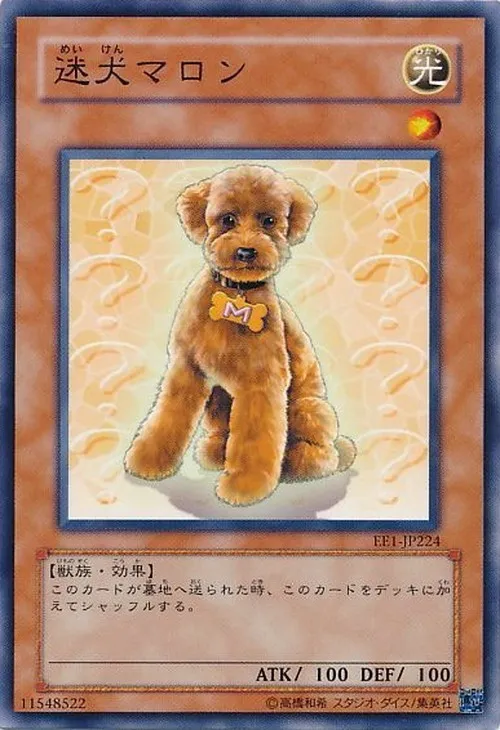 迷犬マロン