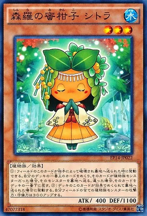 森羅の蜜柑子 シトラ