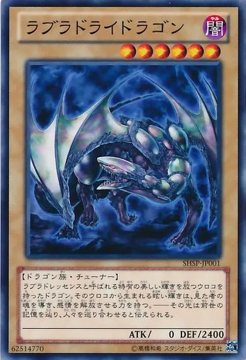 ラブラドライドラゴン