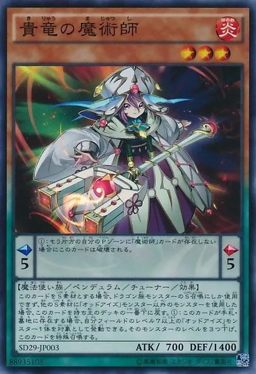 貴竜の魔術師