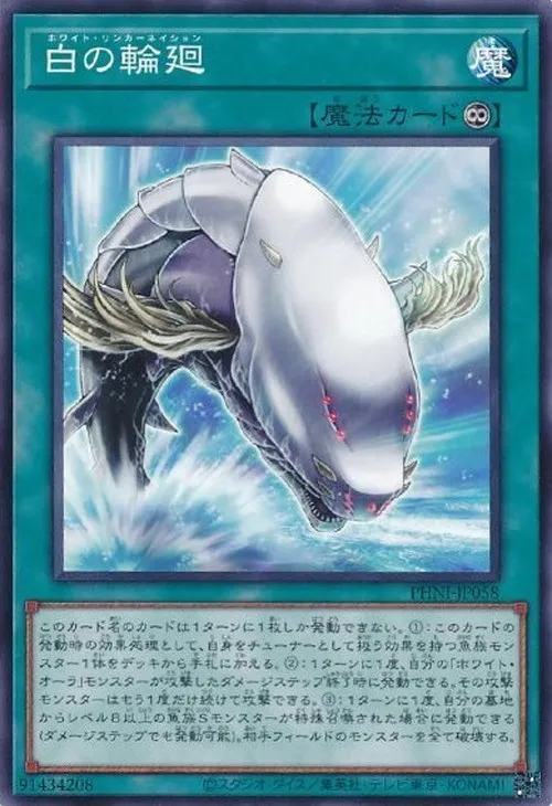 白の輪廻