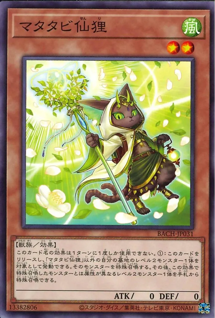 マタタビ仙狸