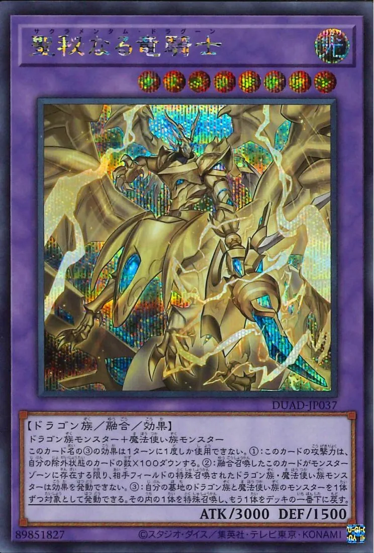 聖秘なる竜騎士
