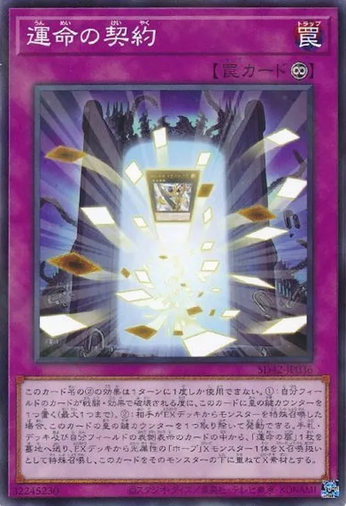運命の契約