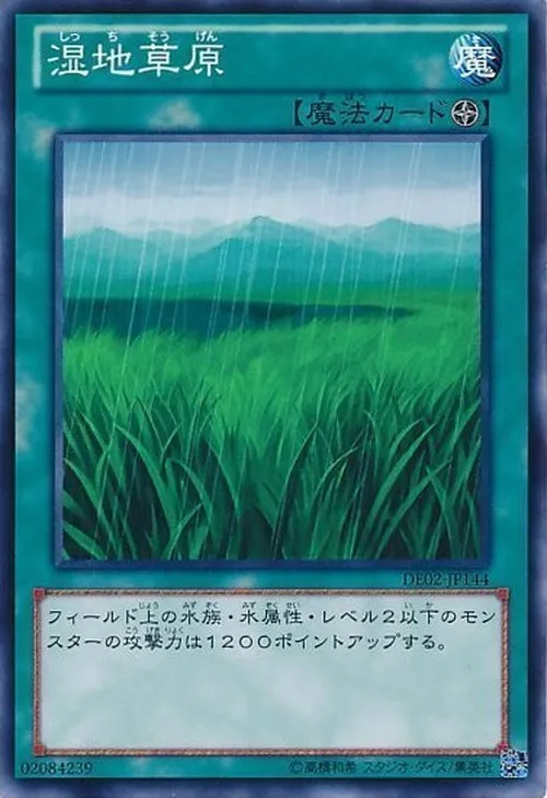 湿地草原