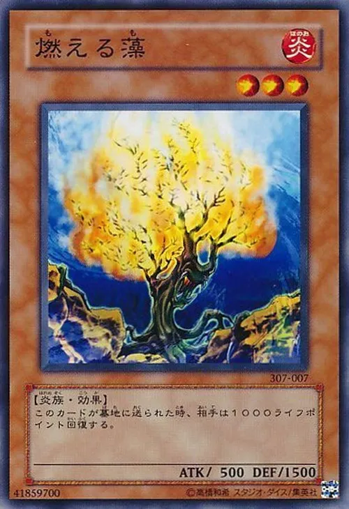 燃える藻