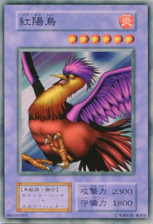 紅陽鳥