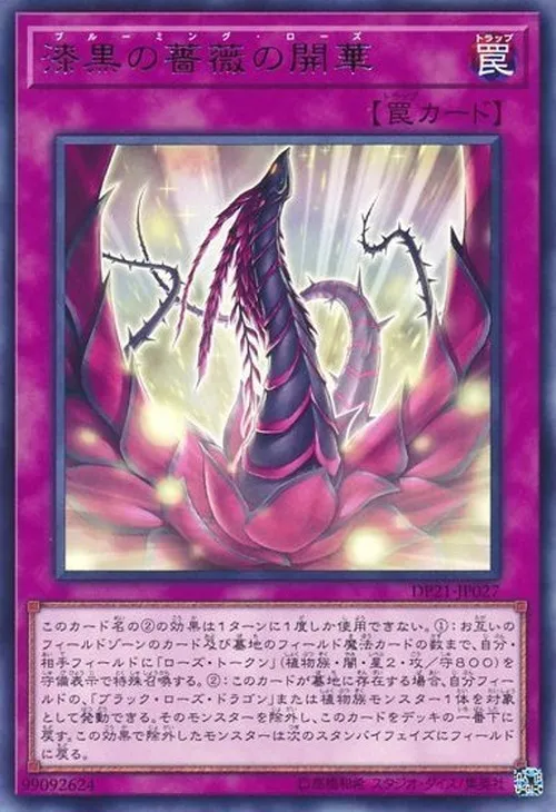 漆黒の薔薇の開華