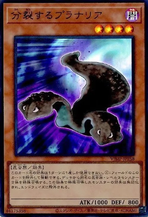分裂するプラナリア
