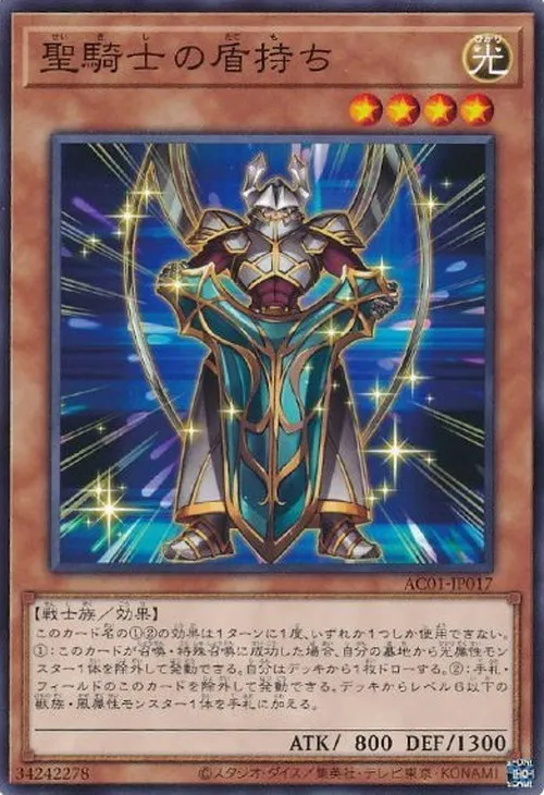 聖騎士の盾持ち