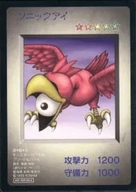 ソニックアイ