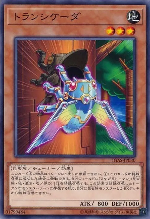 トランシケーダ