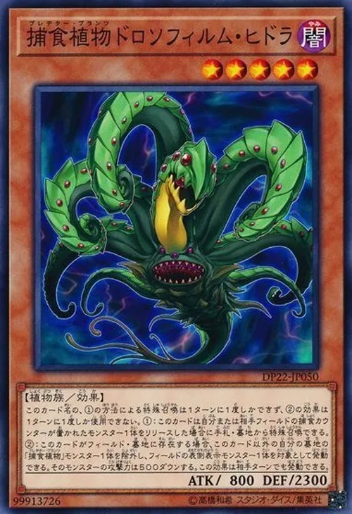 捕食植物ドロソフィルム・ヒドラ