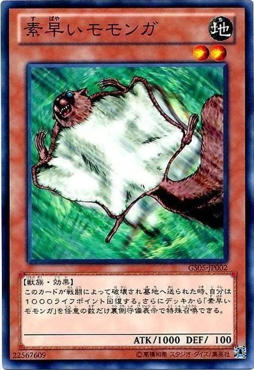 素早いモモンガ