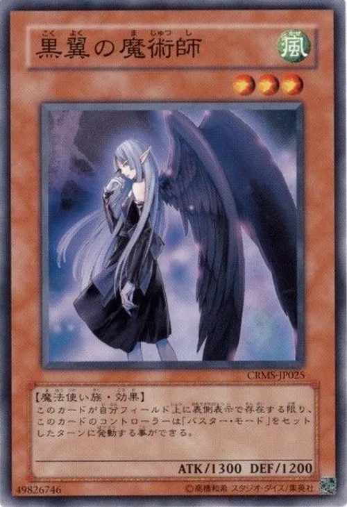 黒翼の魔術師
