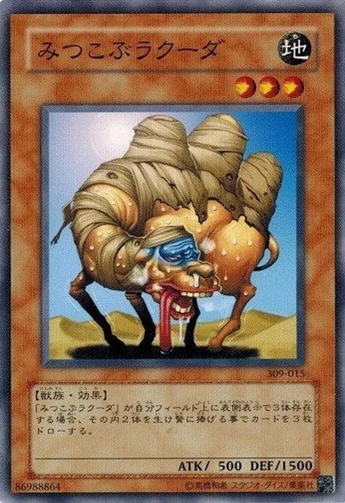 みつこぶラクーダ
