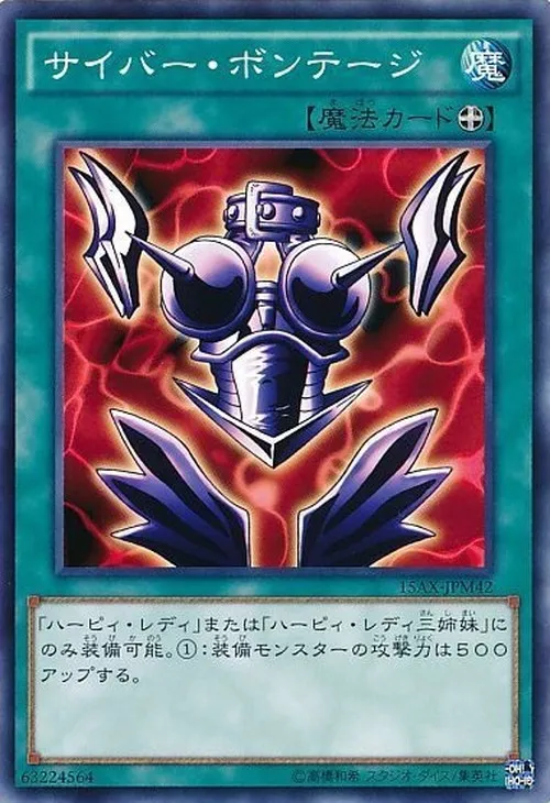 サイバー・ボンテージ