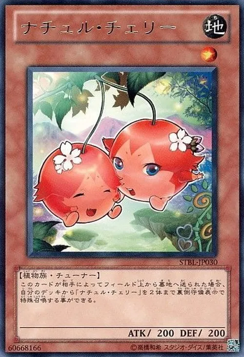ナチュル・チェリー
