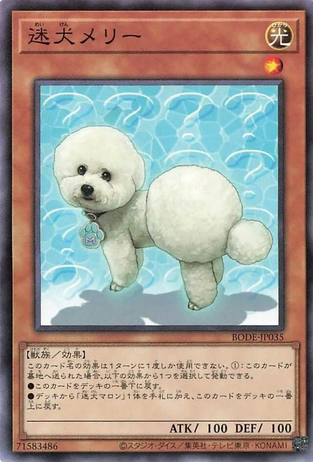 迷犬メリー