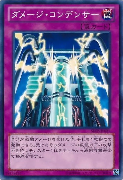 ダメージ・コンデンサー