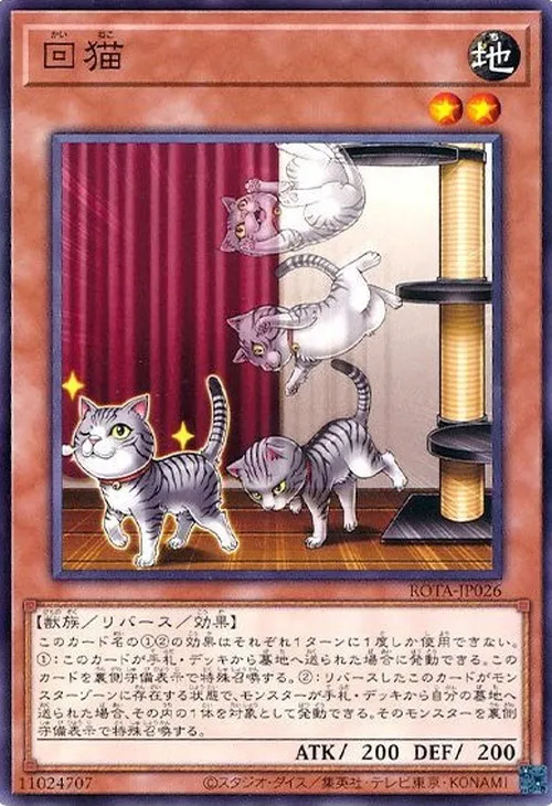 回猫