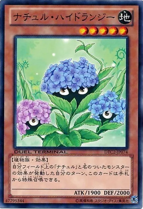 ナチュル・ハイドランジー