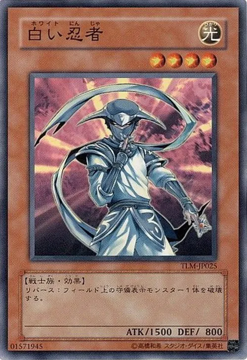 白い忍者