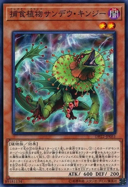 捕食植物サンデウ・キンジー