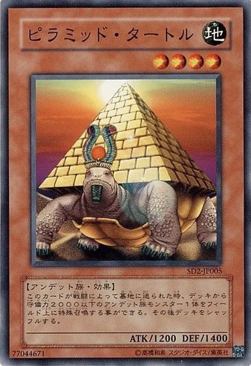 ピラミッド・タートル