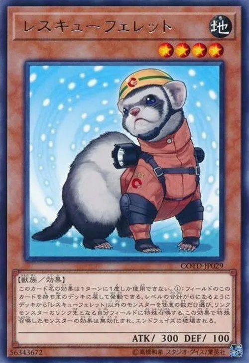 レスキューフェレット