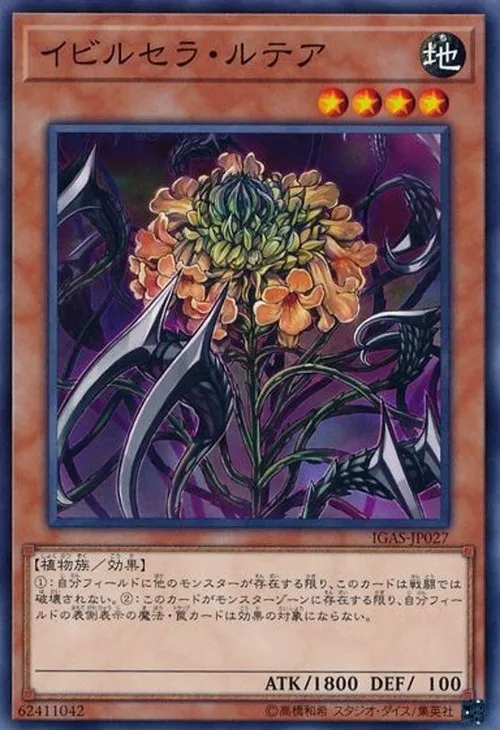 イビルセラ・ルテア