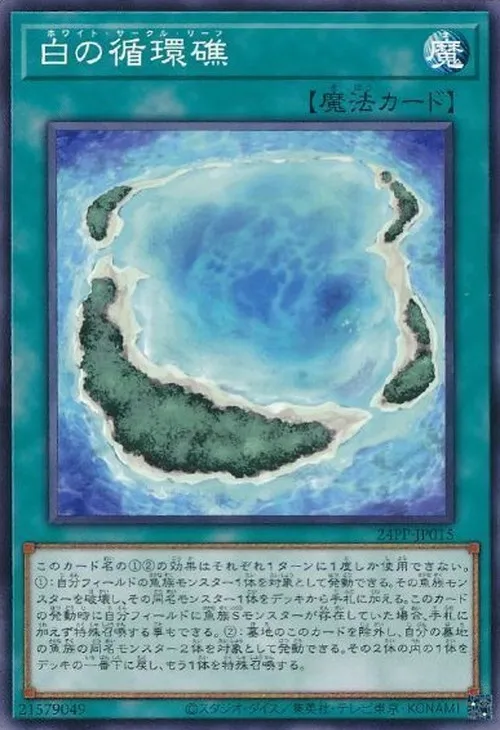 白の循環礁