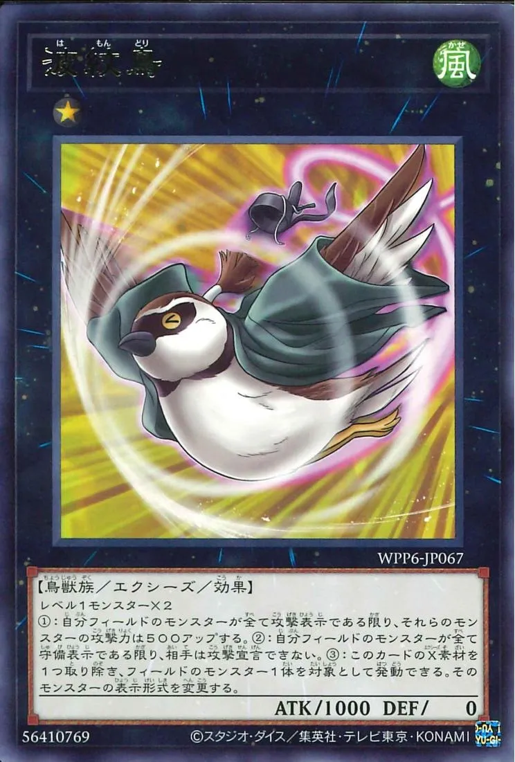 波紋鳥